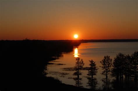 Millwood Lake - Alchetron, The Free Social Encyclopedia