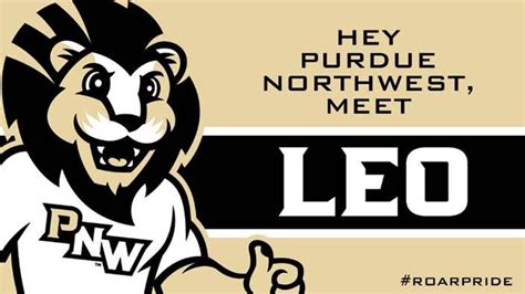 Leo voted as new PNW mascot – PNW Pioneer