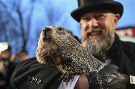 Un Meteor Logo De Ficci N La Marmota Phil Pronostica Una Primavera