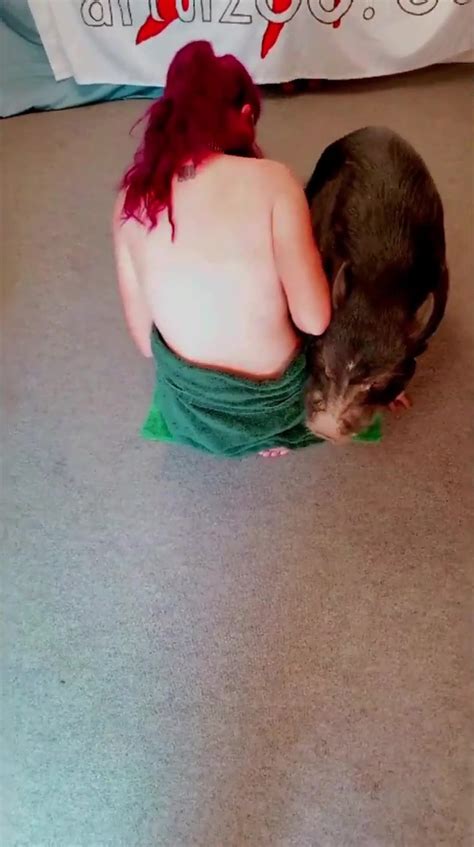 Pig Fuck Girl