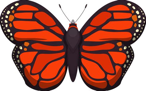 Butterflies Images Clipart