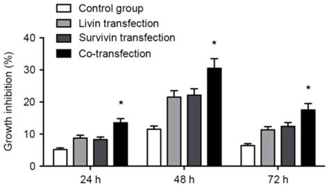 Transfection With Livin And Survivin ShRNA Inhibits The Growth And