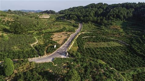 凤凰县菖蒲塘村：沃土生金果 山水绣画卷 新湖南客户端 新湖南