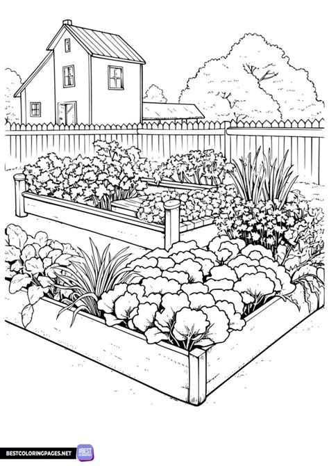 Vegetable Coloring Pages Bestcoloringpages Net