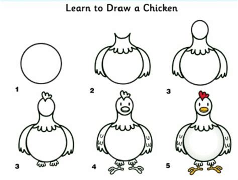 How To Draw Chicken Step By Step Learn How To Draw A Chicken With Simple Steps Step By Step