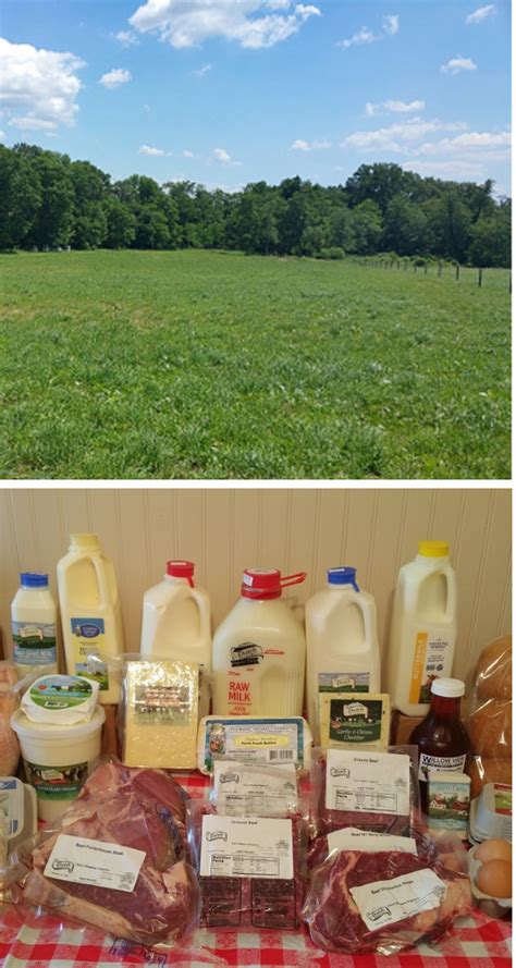 Raw Milk And Grass Fed Beef Paradise Pa Dutch Meadows Farm