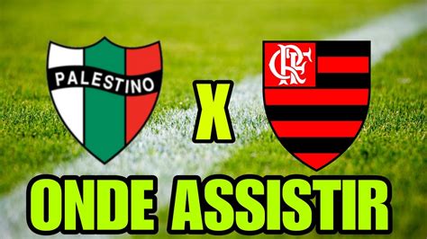 Palestino X Flamengo Onde Assistir Onde Vai Passar Palestino X Flamengo