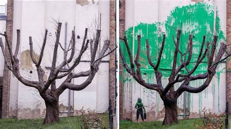 Banksy Confirms Tree Mural Spotted In London Is His In Online Post Lbc