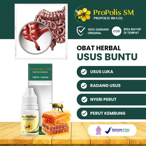 Propolis Sm Obat Usus Buntu Radang Usus Buntu Usus Luka Nyeri Perut