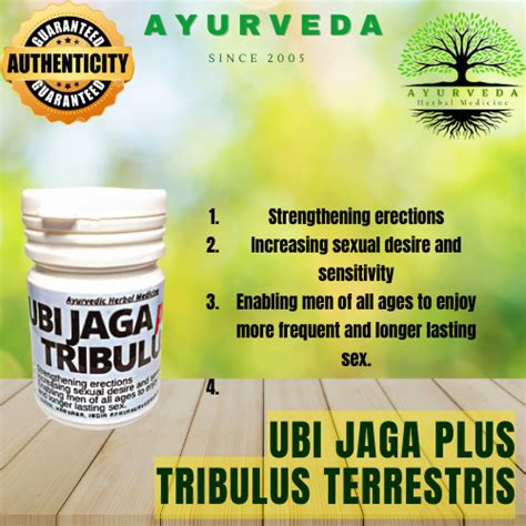 Ayurveda Kapsul 100 Ubi Jaga Plus Tribulus Terrestris 30 Biji ORIGINAL