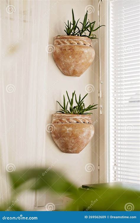 Two Terra Cotta Planters On The Wall Indoors Aloe Vera Plants In Flowerpots On The Wall Next To