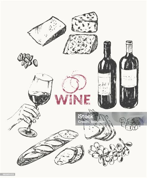 Hand Drawn Wine Illustration Set Stock Illustration Download Image