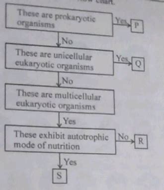 Refer To The Given Flow Chart Select The Correct Statement Regarding P