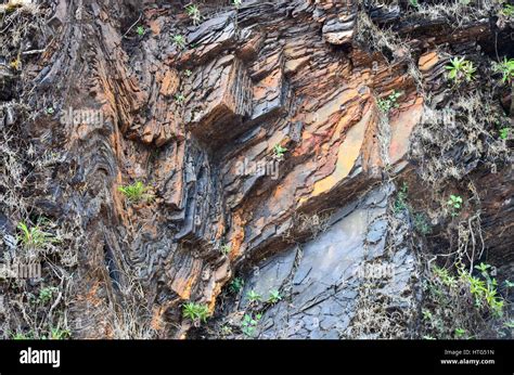 Layers Of Iron Ore Deposits Found In The Mullayanagiri Mountain Ranges