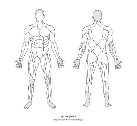 Free body chart template downloads (PDF) | Mangomint Salon and Spa Software