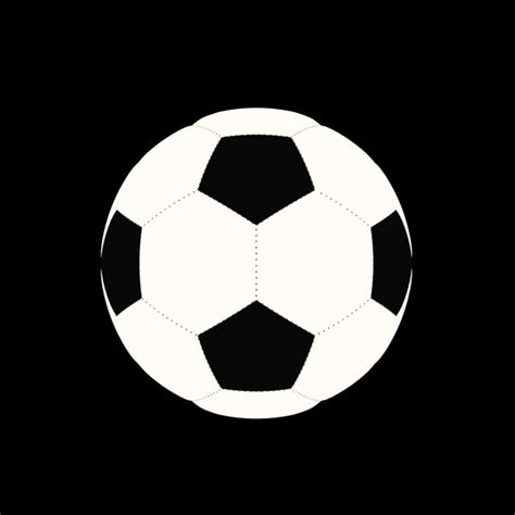 Black and White Soccer Ball Photo