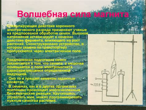 Перспективы развития и использования электроэнергетики в современном ...
