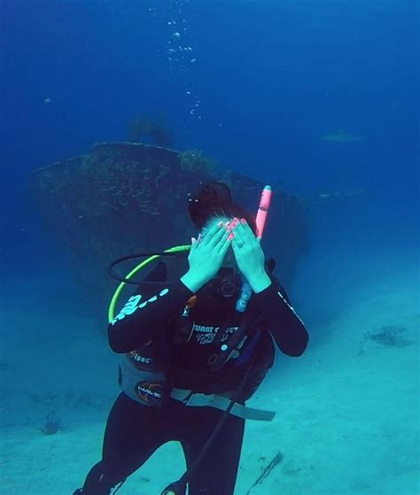 Terrifying Shark Scuba Dive At Stuart S Cove Nassau Bahamas Video