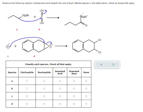 Solved Examine The Following Reaction Mechanisms And Chegg