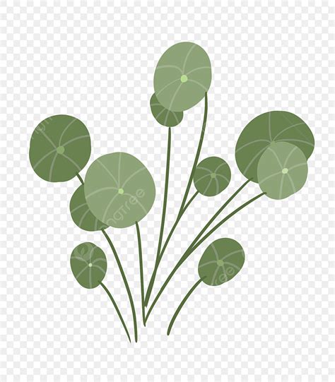 Green Grass Plants PNG Transparent Green Plant Copper Money Grass