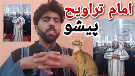 Imam Taraweeh And Cat Viral Video Youtube