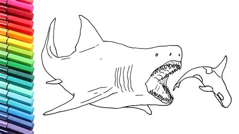 Megalodon Drawing at PaintingValley.com | Explore collection of ...