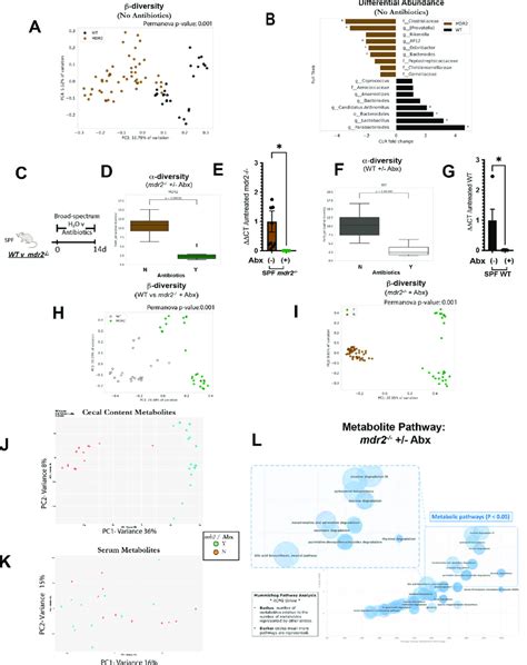 Faecal microbiome and metabolite profiles of... | Download Scientific Diagram