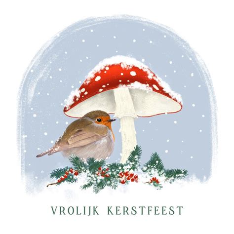 Kerstkaart Met Roodborst Onder Paddenstoel Kaartje Go