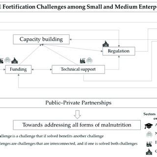 Overview of interconnected food fortification challenges and potential ...