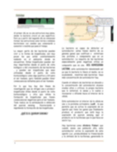 SOLUTION Reproducci N Y Crecimiento Bacteriano Evoluci N Y B