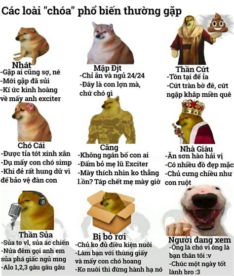 Meme Vietnam Chuyện cười Cười Ảnh vui