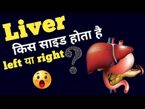 Liver Kis Side Hota Hai Left Ya Right Youtube