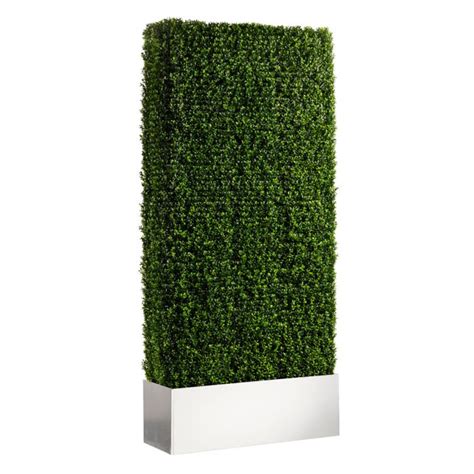 Rent the 8ft Boxwood Hedge | CORT Events