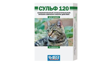 Сульф-120 для кошек: инструкция по применению таблеток