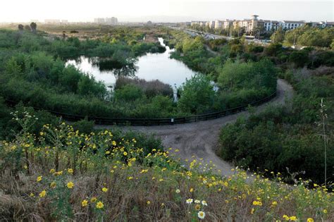 Ballona Wetlands - Ballona Wetlands