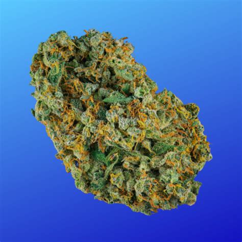 Discover The Legendary Jack Herer Strain Abide Napa