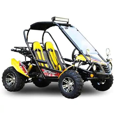 Best Seater Go Kart For Adults Dual Seat Rental Racing Karts