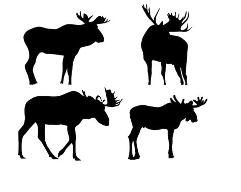 Premium Vector | Moose silhouette