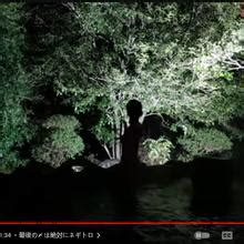 Unagichan Nude OnlyFans Leaks Fapopedia