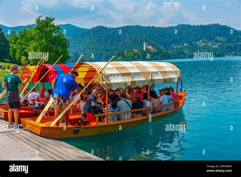 Bled Slovenia June Boats Bringing Tourists Towards The