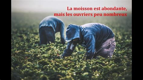 La moisson est abondante mais les ouvriers peu nombreux prédication