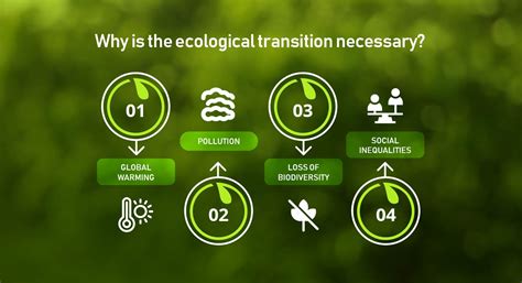 Ecological Transition What It Is And Why It Is Needed Now