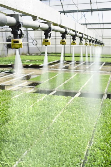 Irrigation Stock Photo Image Of Plant Vegetable System