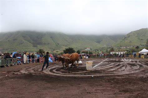 Tegueste Se Convierte En La Capital De Las Tradiciones Al Acoger El Xxx