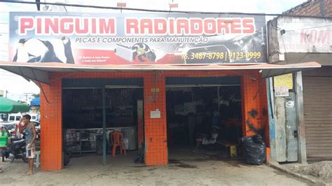 Radiadores Pinguim