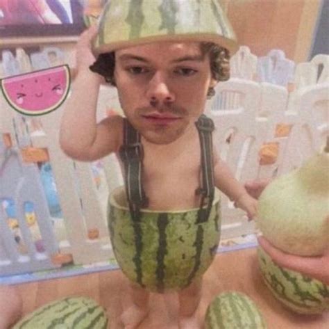 Pin On Harry Styles Harry Styles Funny Harry Styles Memes Harry Styles Cute