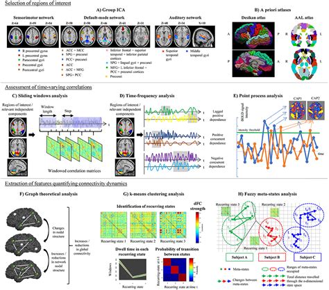 Frontiers Characterizing Rapid Fluctuations Of Resting State