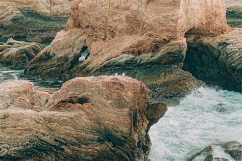 Rocky Cliffs Bluffs Caves In Montana De Oro State Park California