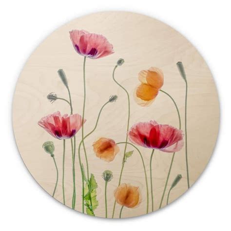 Holzbild Blumen Bunte Mohnblumen Rund Disher Wall Art De