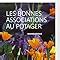 Amazon fr Les bonnes associations au potager Vialard Noémie Livres